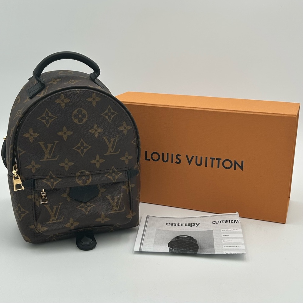 Louis Vuitton Dark Brown Monogram Palm Springs Mini Backpack